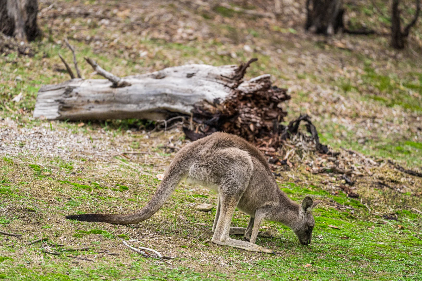 Additional image 22 of 320 South Steiglitz Road, Steiglitz VIC 3331