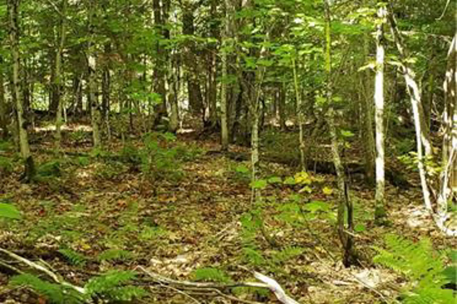Additional image 3 of 3339 Highway 534