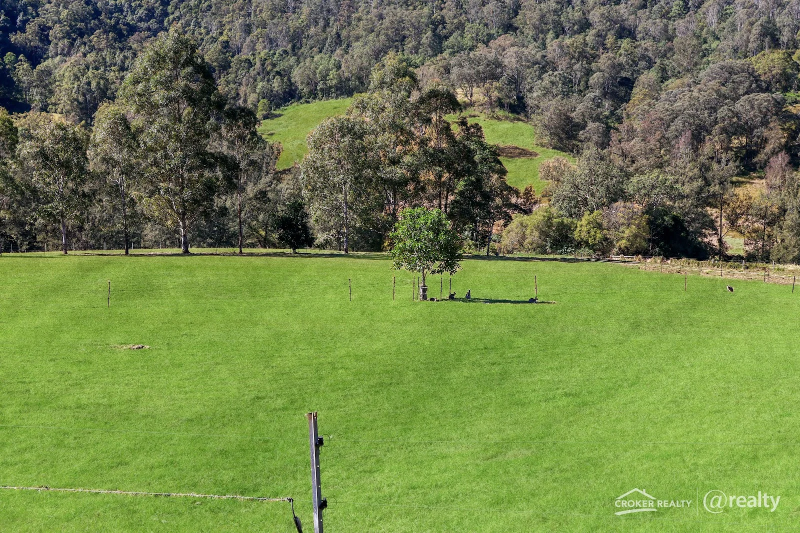 Additional image 24 of 473 Smiths Creek Road, Smiths Creek NSW 2474