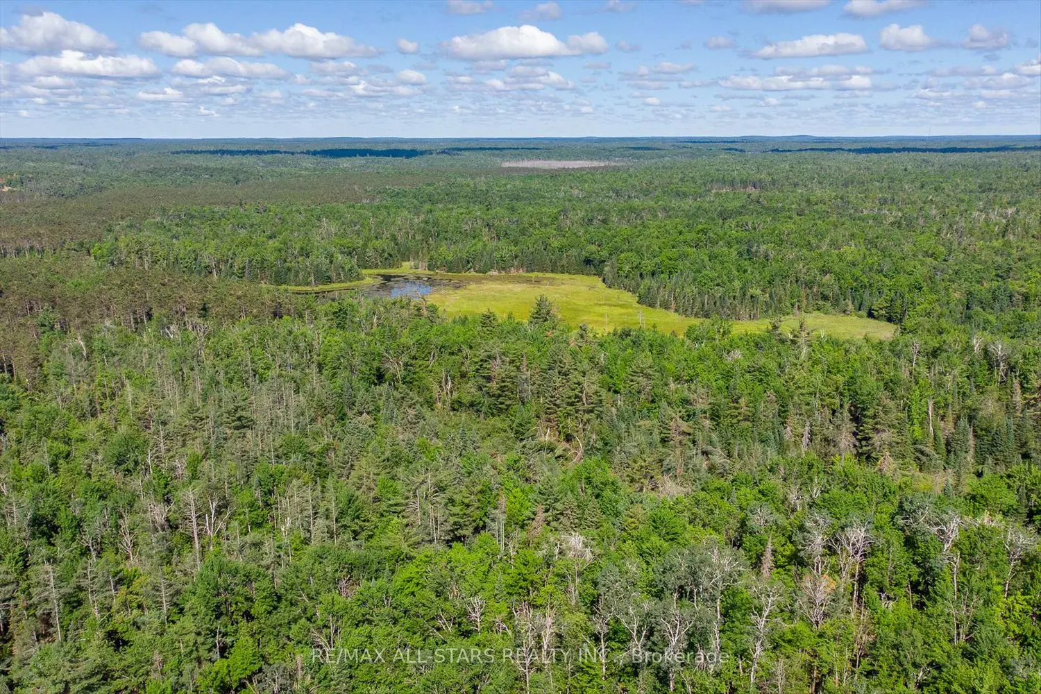 Additional image 5 of 0000 Monck Road