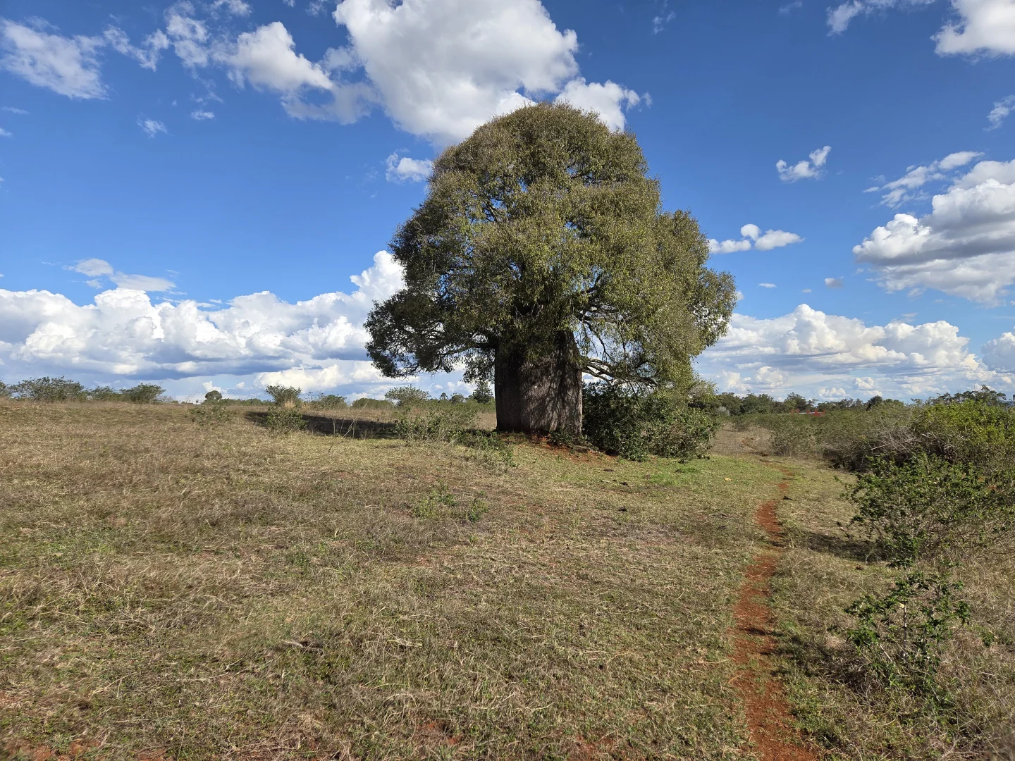 Additional image 8 of 34 Bellottis Road, Oakdale QLD 4605