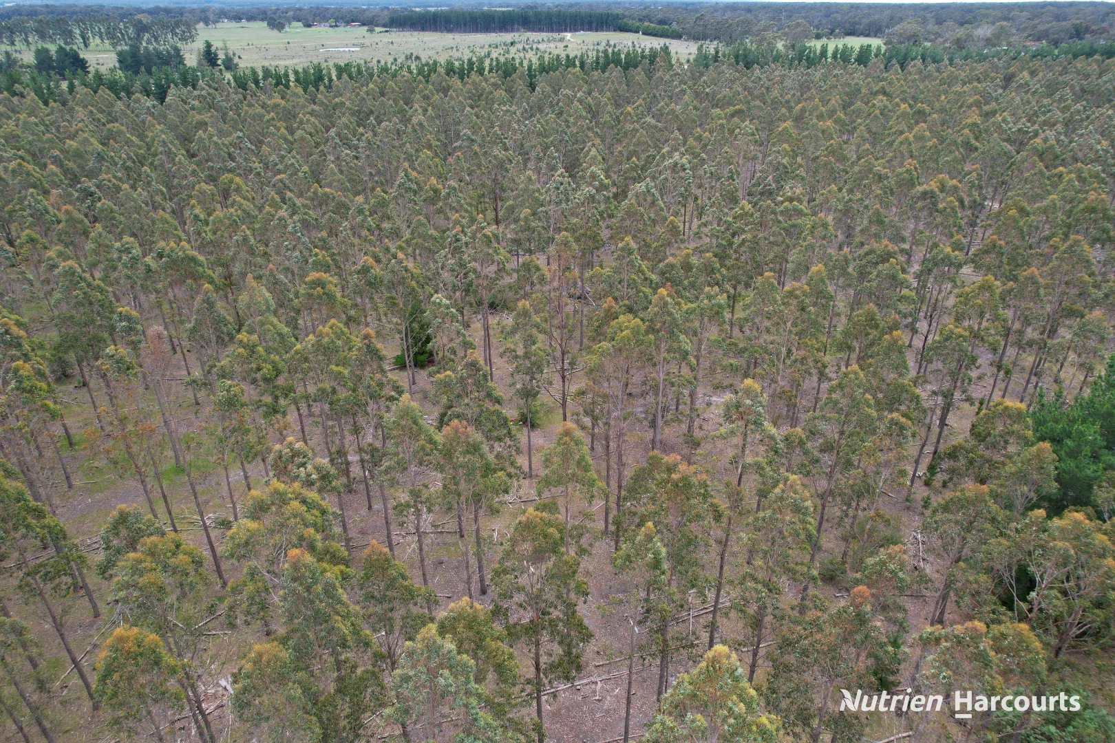 Additional image 8 of CA 30 South Gippsland Highway, Woodside VIC 3874