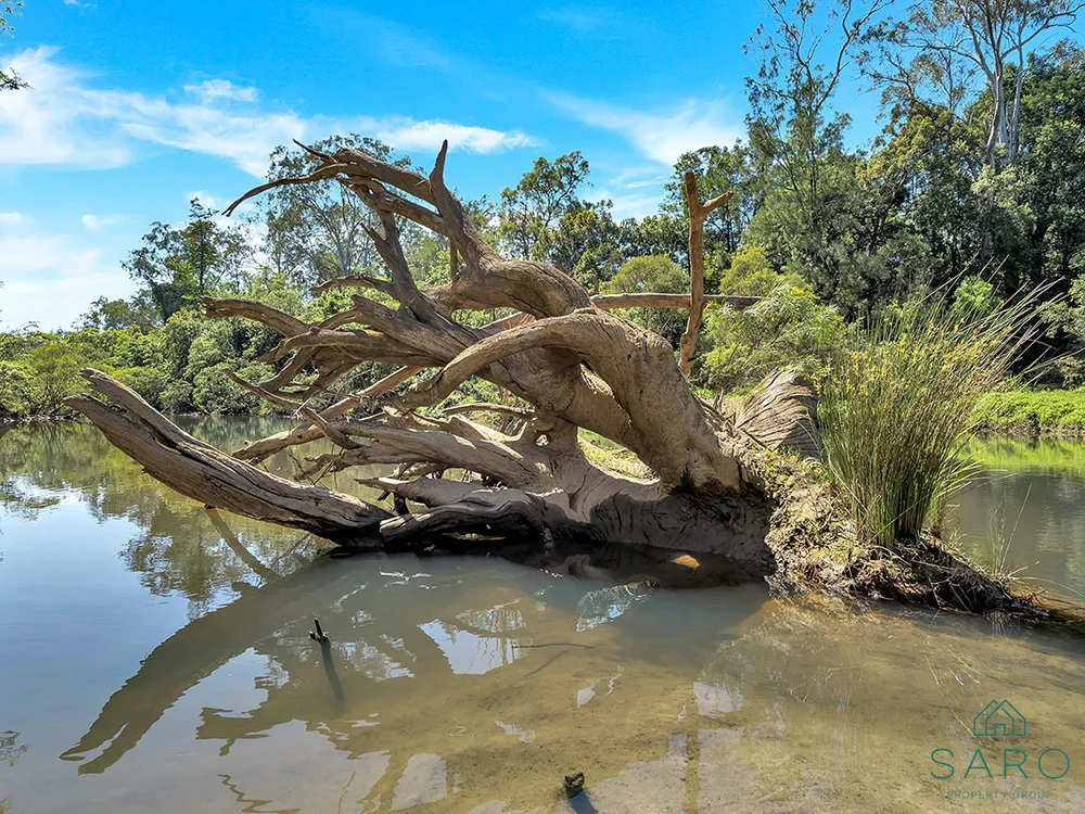 Additional image 27 of 351 Orara Road, Lanitza NSW 2460