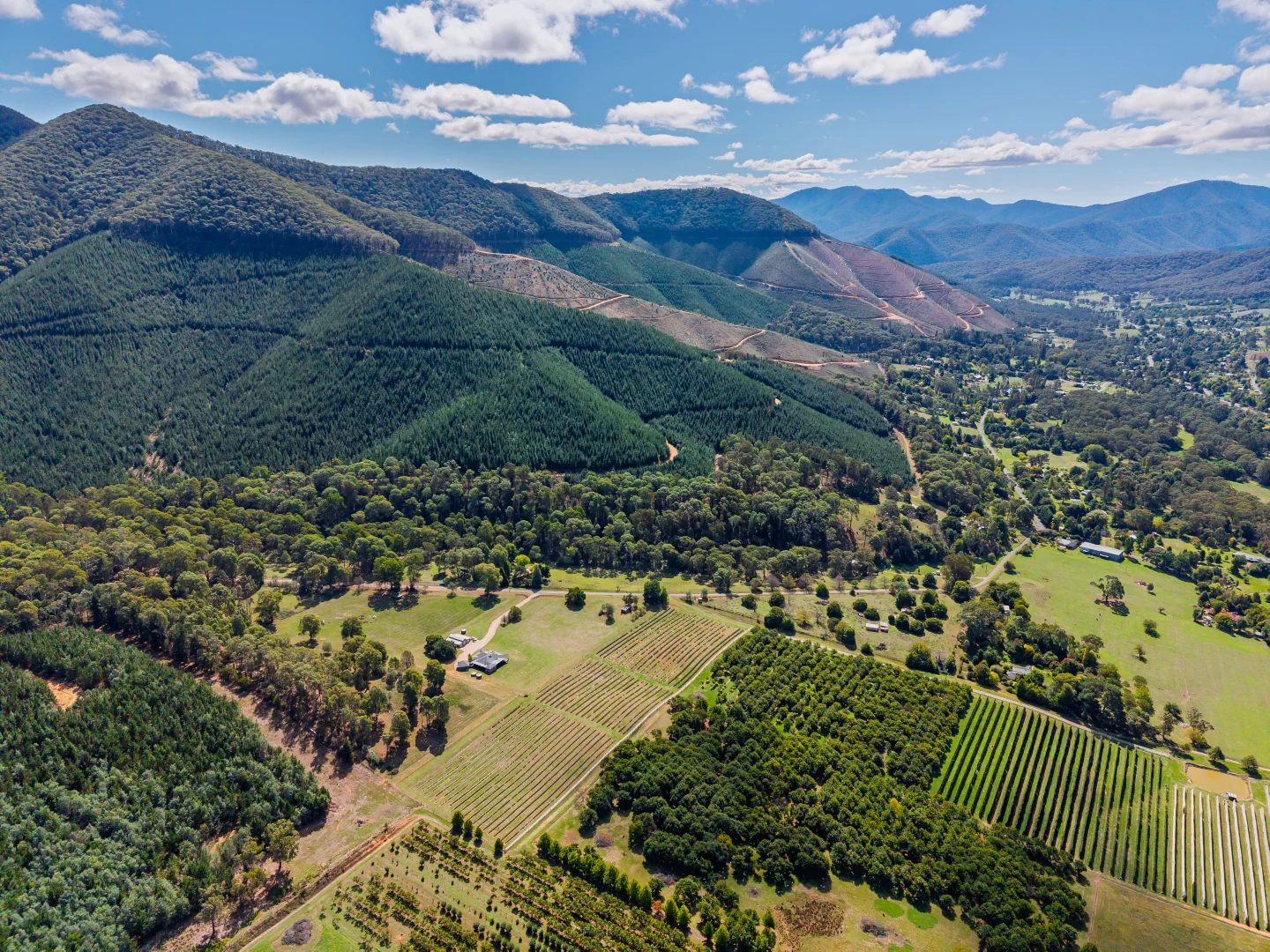 Additional image 34 of 67 Jagoes Gully Road, Wandiligong VIC 3744