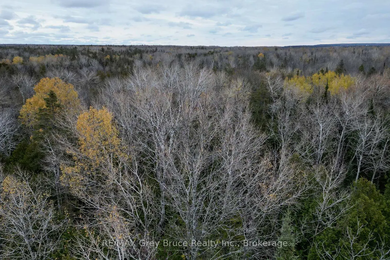 Additional image 13 of 44 Stokes Bay Road