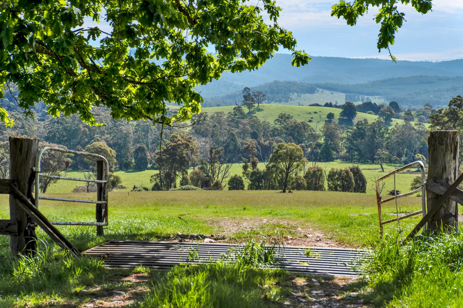 Additional image 24 of 2781 Maroondah Highway, Taggerty VIC 3714