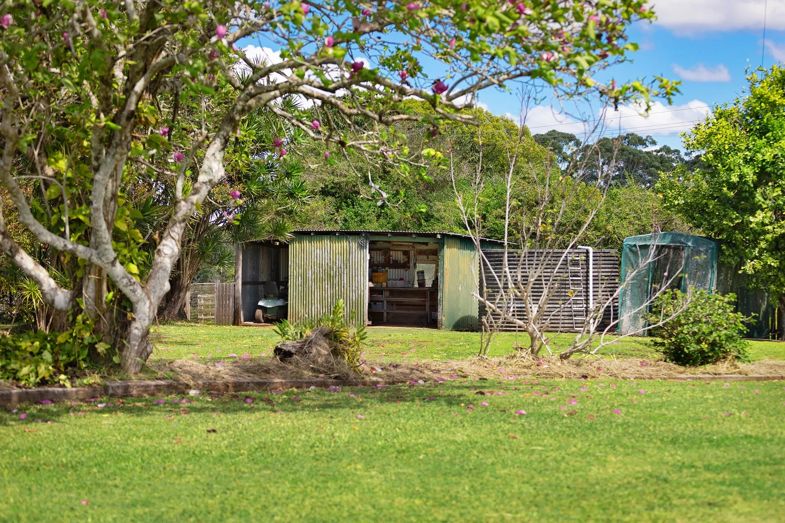 Additional image 19 of 88 St Helena Road, McLeods Shoot NSW 2479