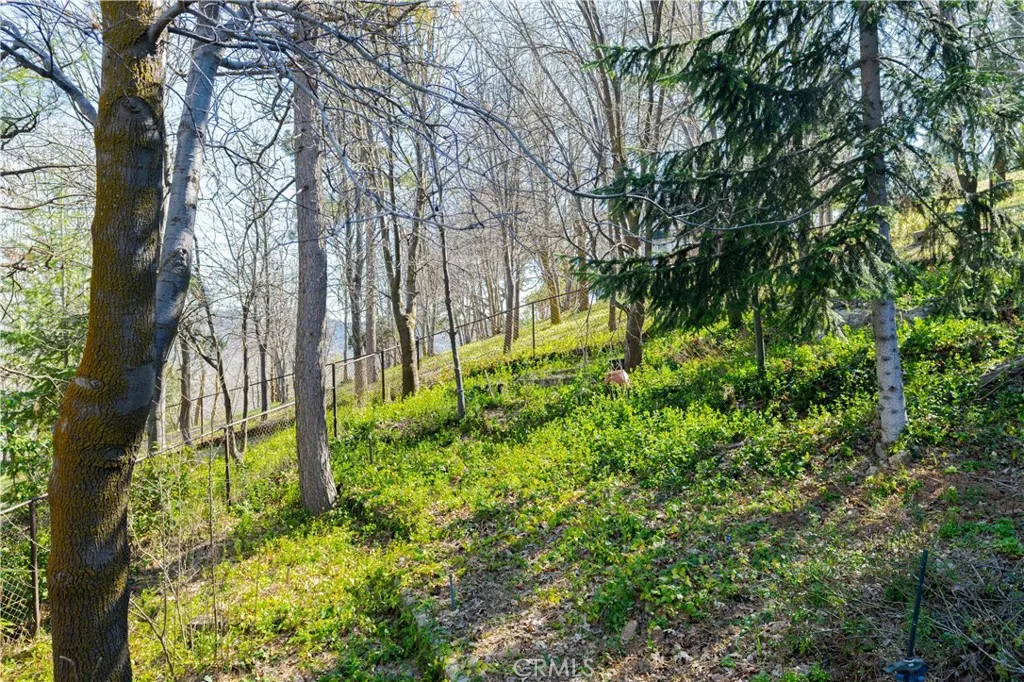 Additional image 71 of 27915 Matterhorn Dr, Lake Arrowhead, CA 92352