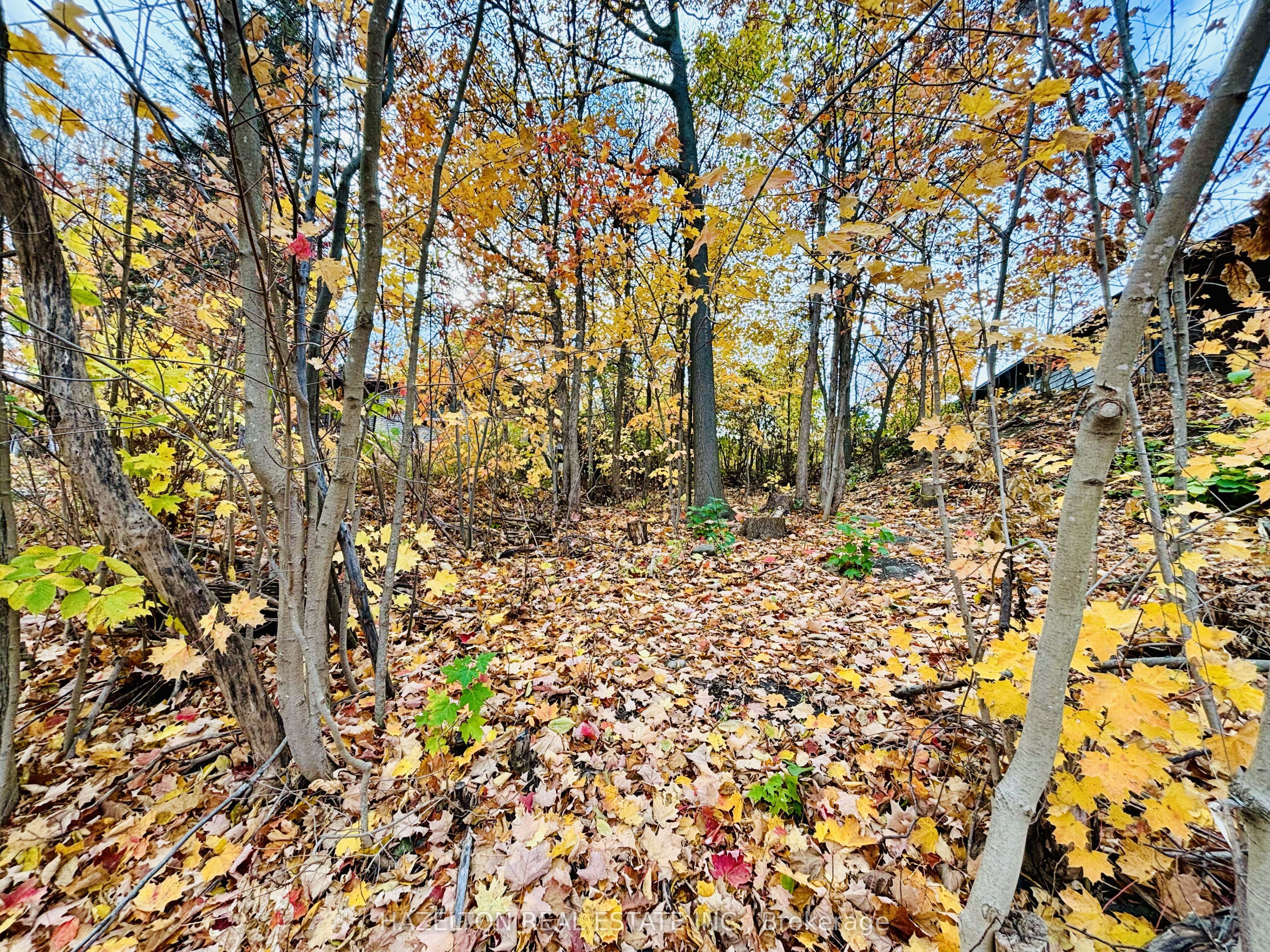 Additional image 4 of 554 Barnes Avenue, Tay, ON, L0K 1R0