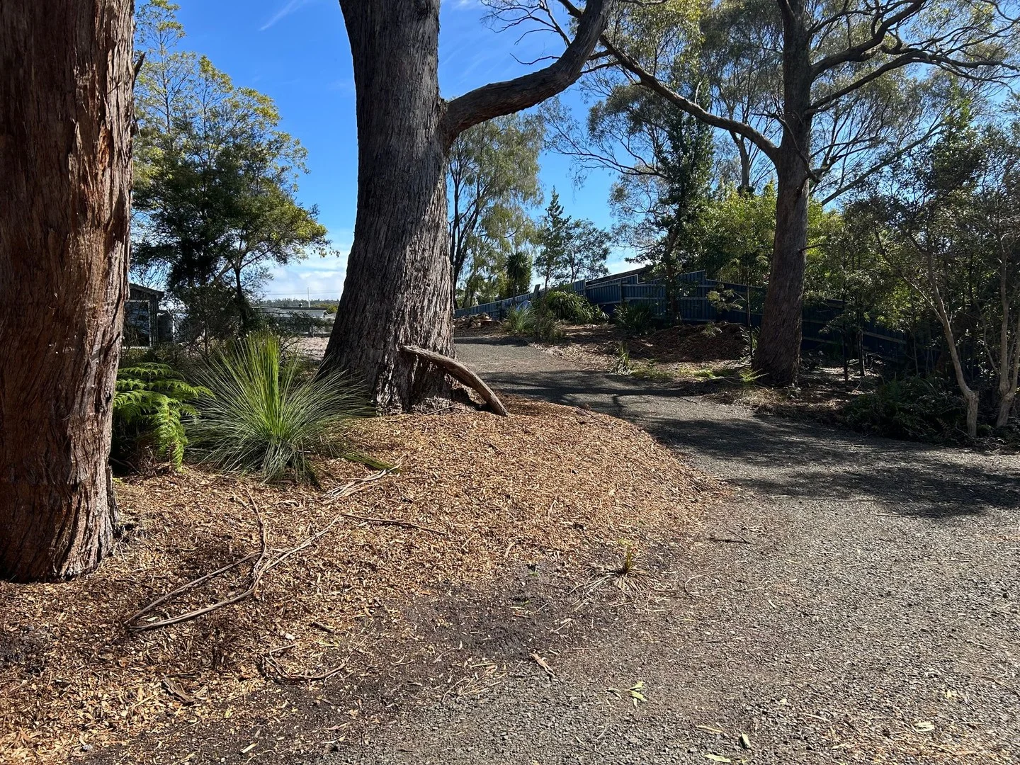 4 Buz Street, Sisters Beach TAS 7321