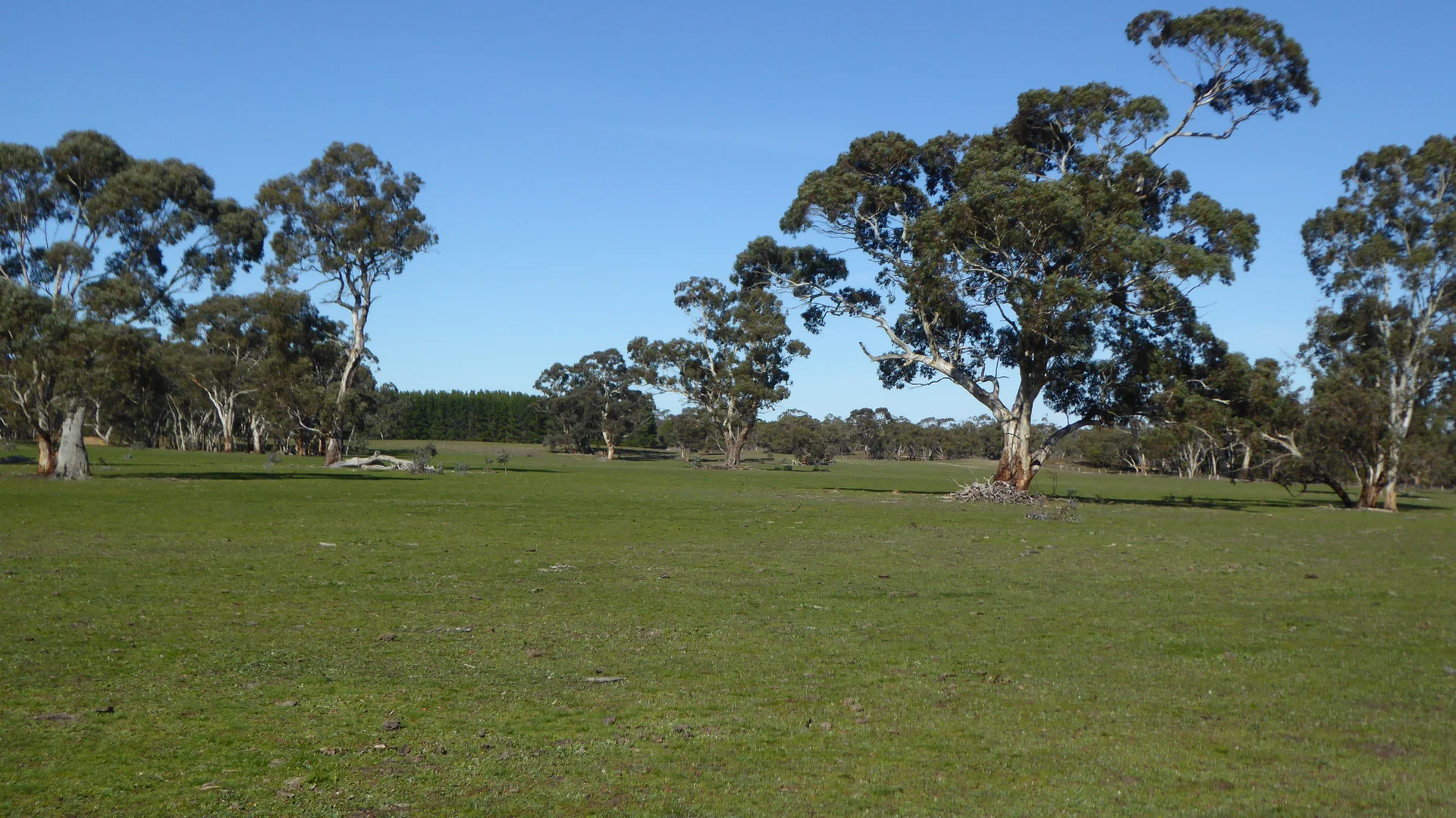 Additional image 27 of 2147 Bangham Road, Frances SA 5262