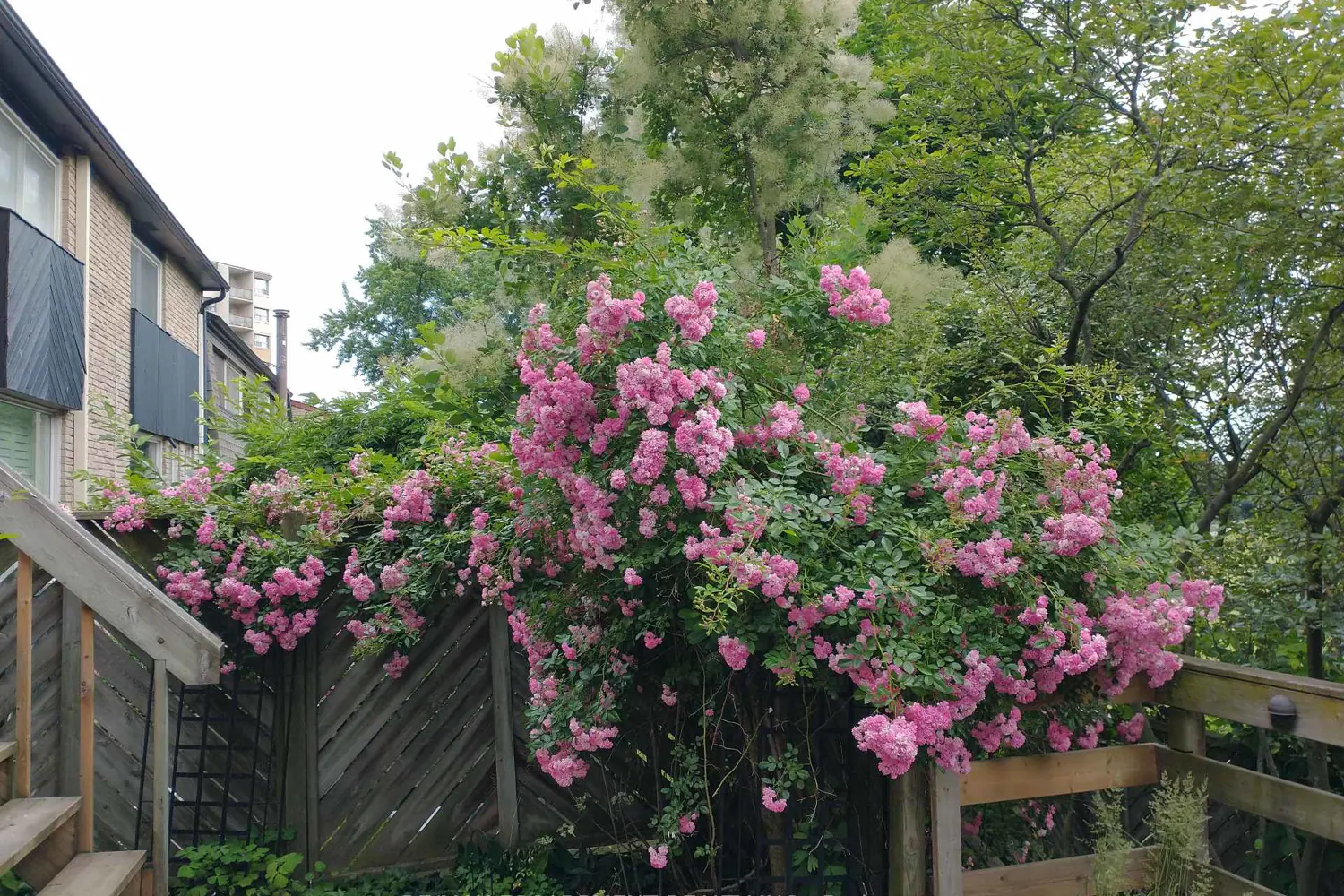 Additional image 13 of 1967 Main Street 7