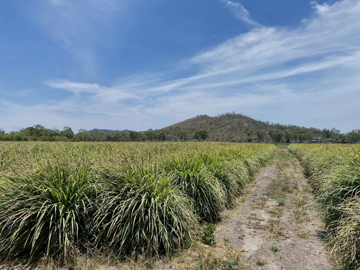 Additional image 7 of 1 Greta Road, Oak Valley QLD 4811