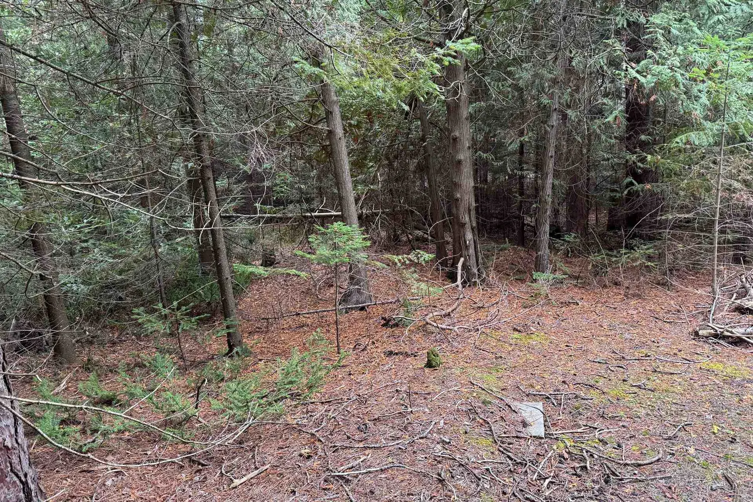 Additional image 6 of 915 Third Avenue