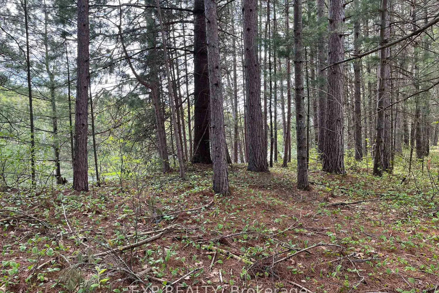 Additional image 6 of Lot 30 Sandy Shores Trail