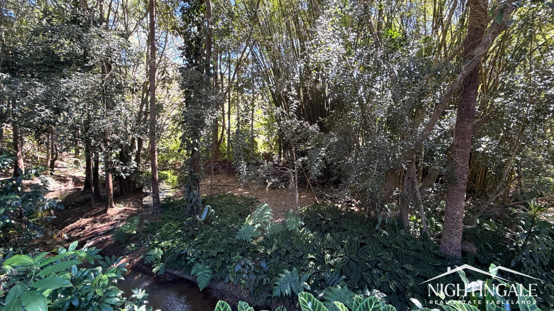 Additional image 29 of Lake Eacham QLD 4884