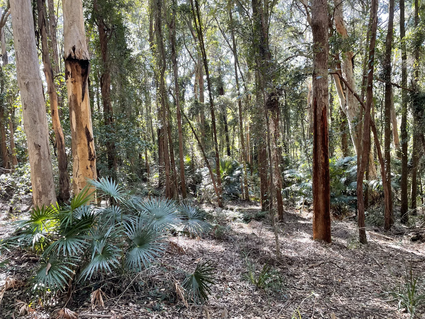 Additional image 11 of 20 James Norton Road, Bensville NSW 2251