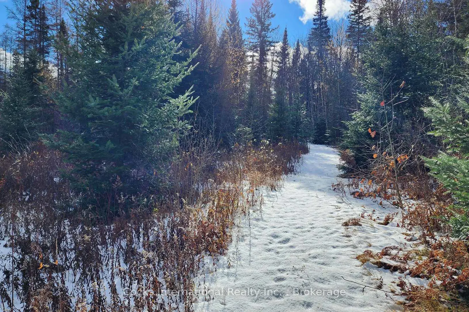 Additional image 3 of 44 Expressway Road