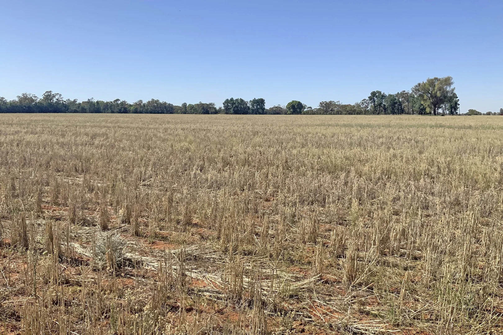 Additional image 14 of 703 Yethera Road, Tullamore NSW 2874