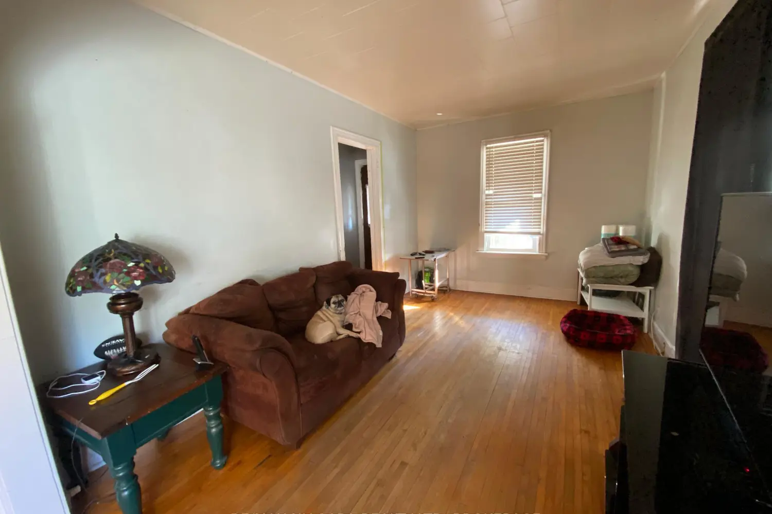 Additional image 4 of 84 Waterloo Street