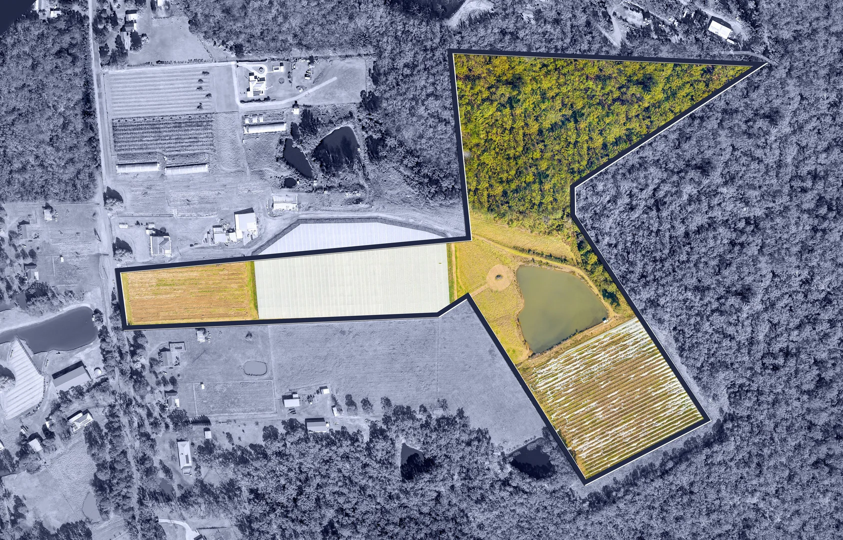 Additional image 9 of 141 Aberfoyle Road, Wedderburn NSW 2560