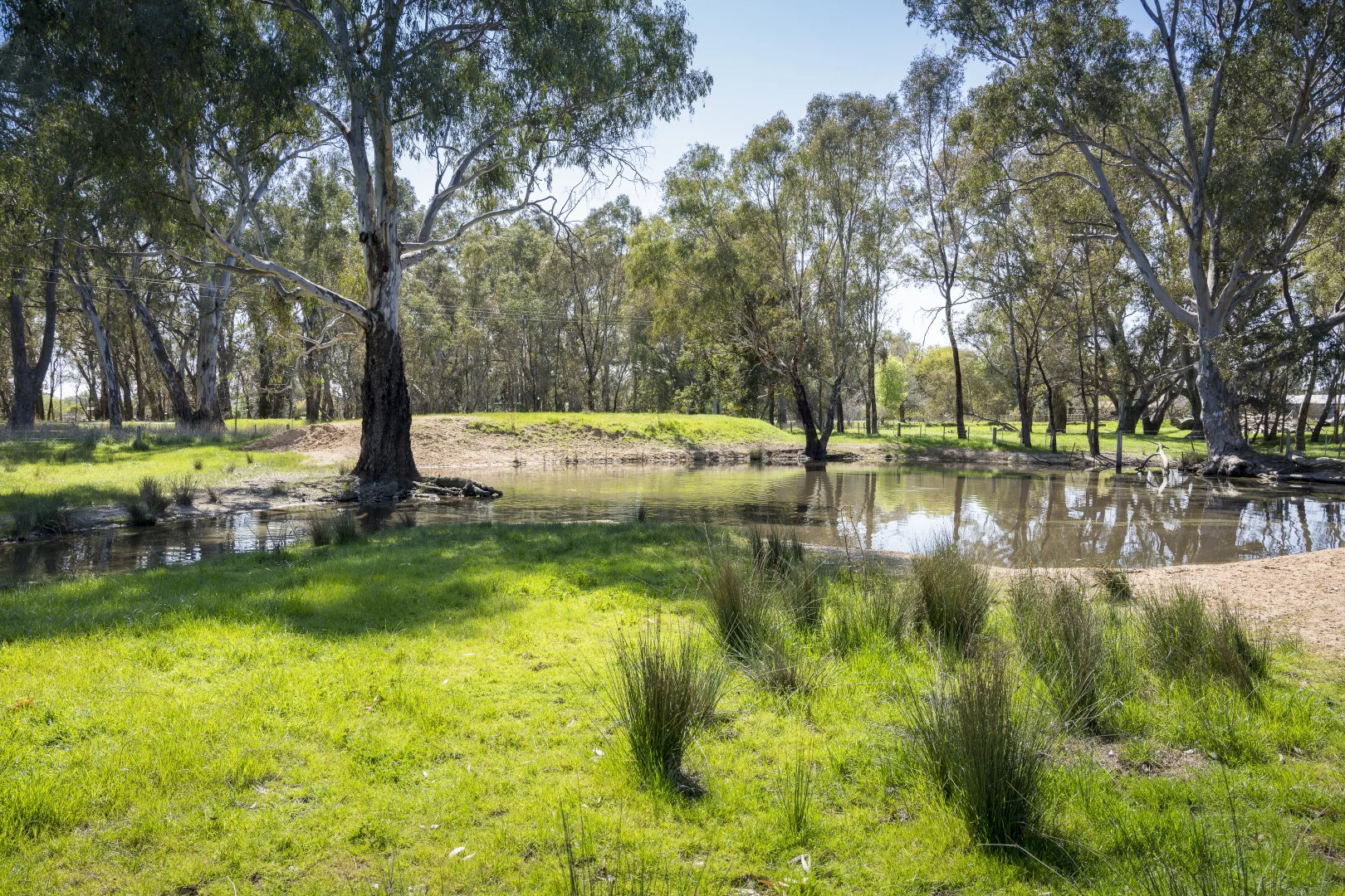 Additional image 3 of CA32 Baddaginnie-Benalla Road, Benalla VIC 3672