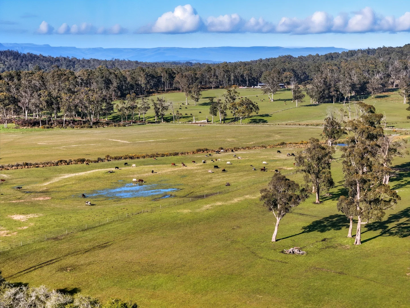 Additional image 7 of 226 Larcombes Road, Reedy Marsh TAS 7304