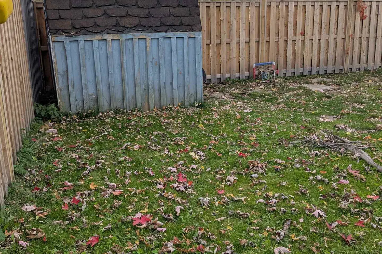 Additional image 5 of 115 Centre Street