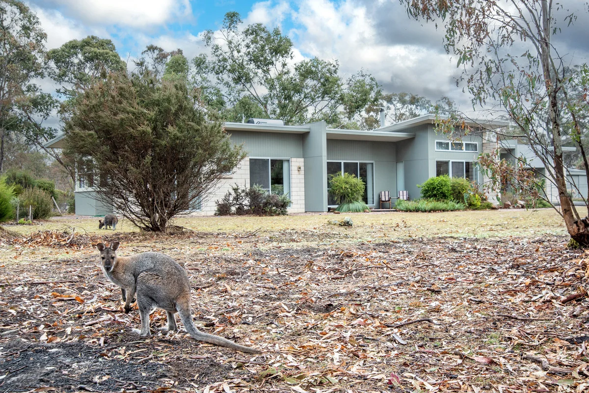 Additional image 6 of Lot 1/250 Hoffmanns Road, Mooralla VIC 3314