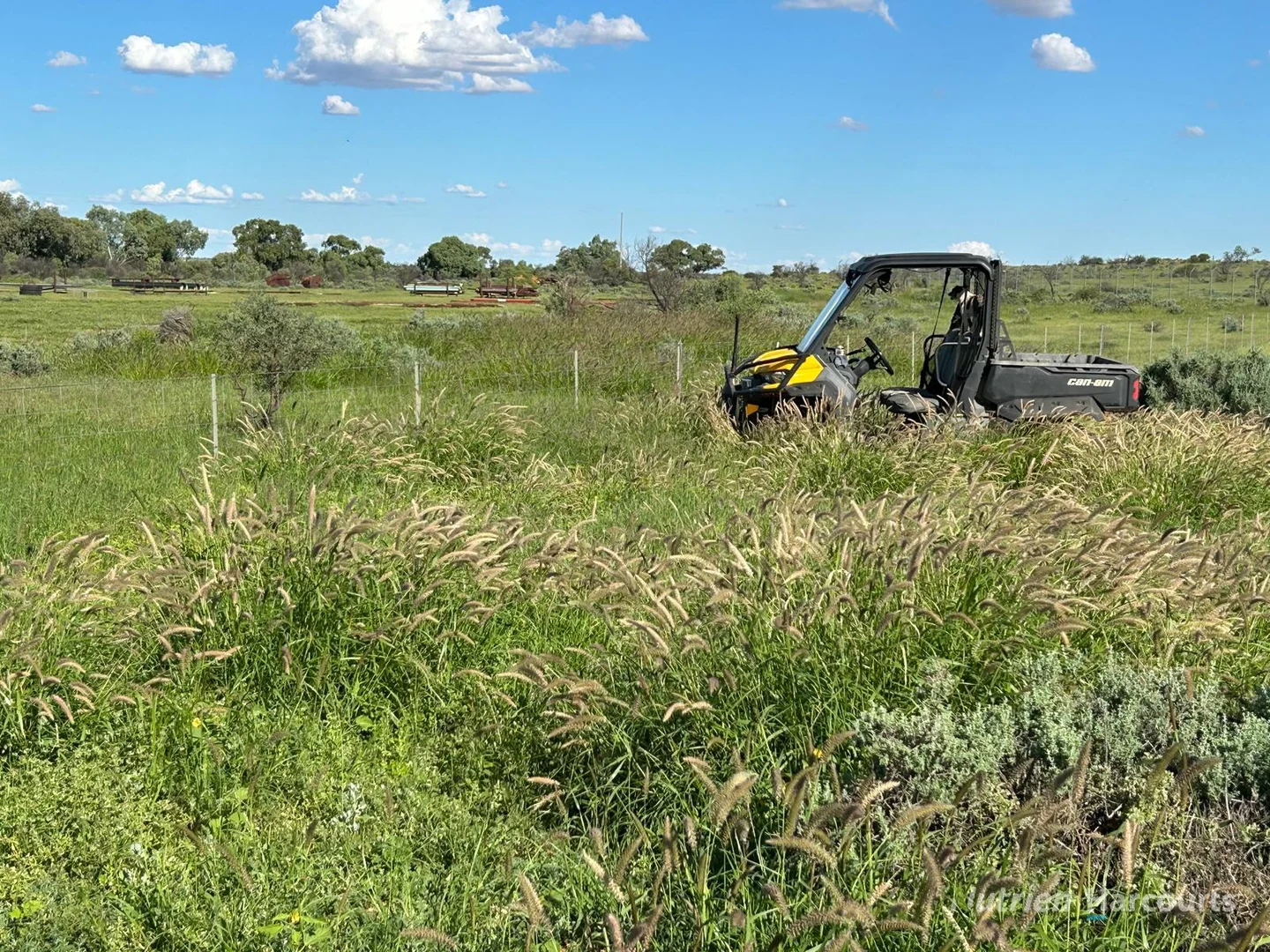 Additional image 5 of * Kayrunnera Station, 1944 Kayrunnera Road, Mutawintji NSW 2880