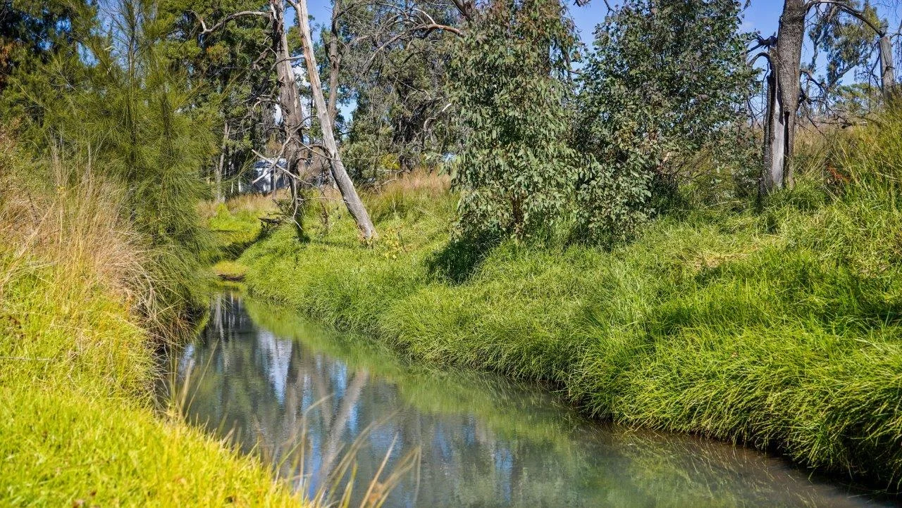 Additional image 7 of 849 Guinema Goorianawa Road, Coonabarabran NSW 2357