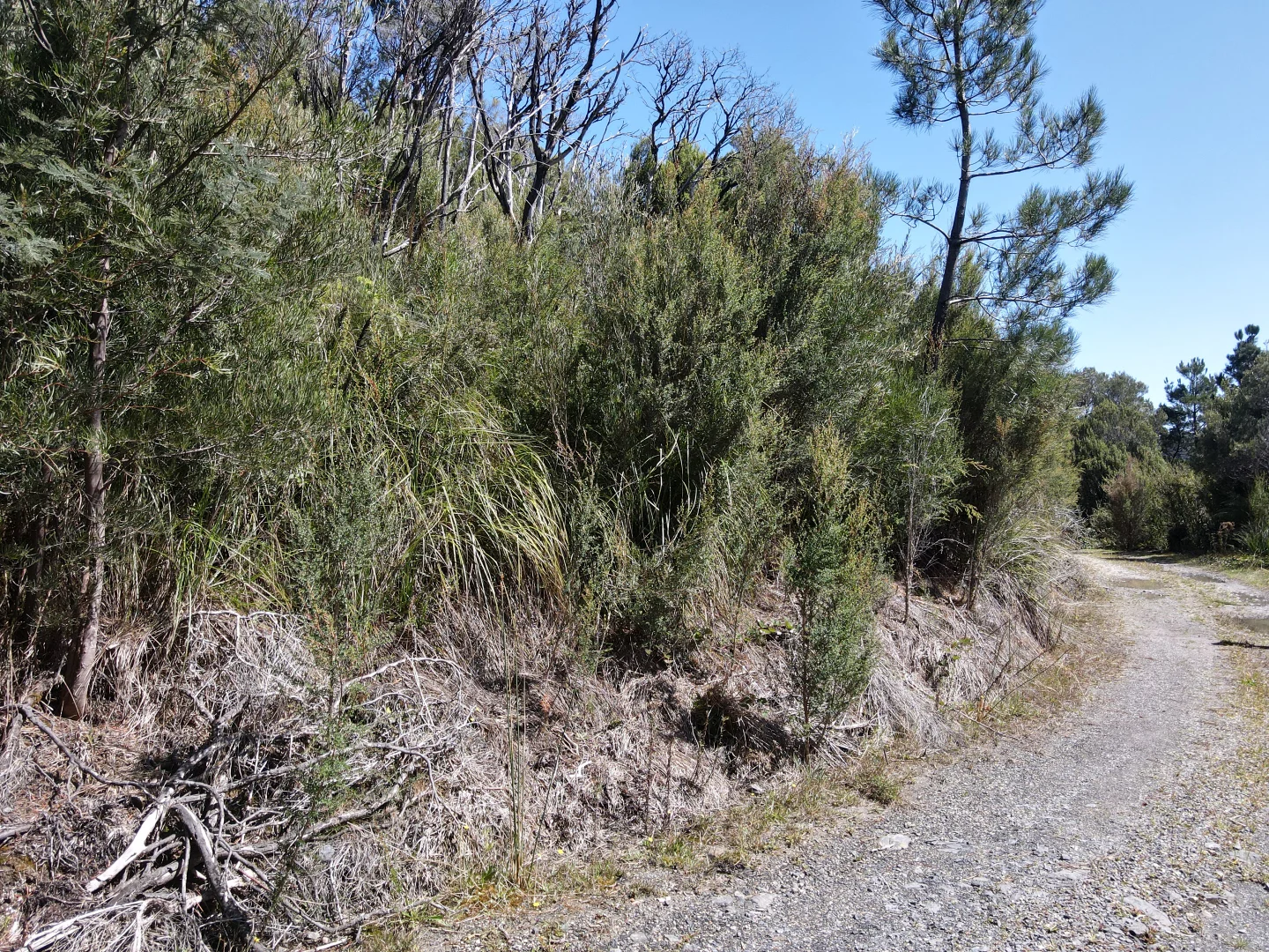 Additional image 6 of 5872342 Crotty Street, Queenstown TAS 7467