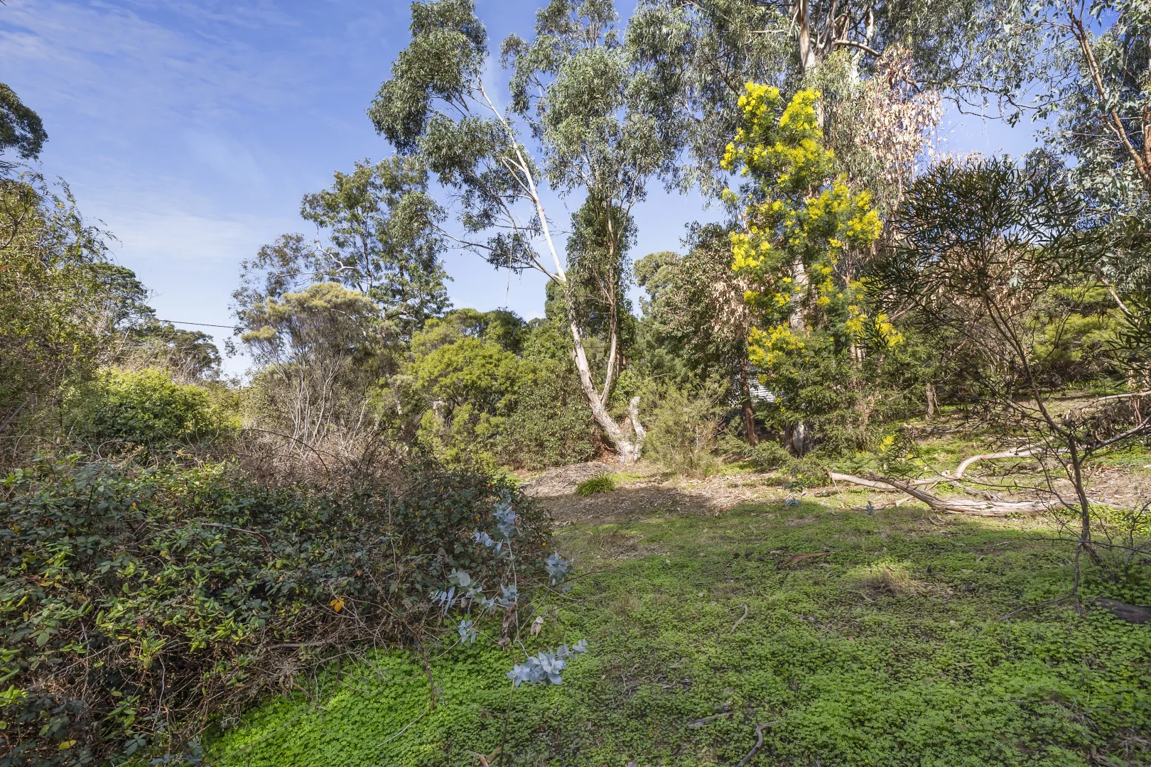 Additional image 8 of 10 Albert Street, Lorne VIC 3232