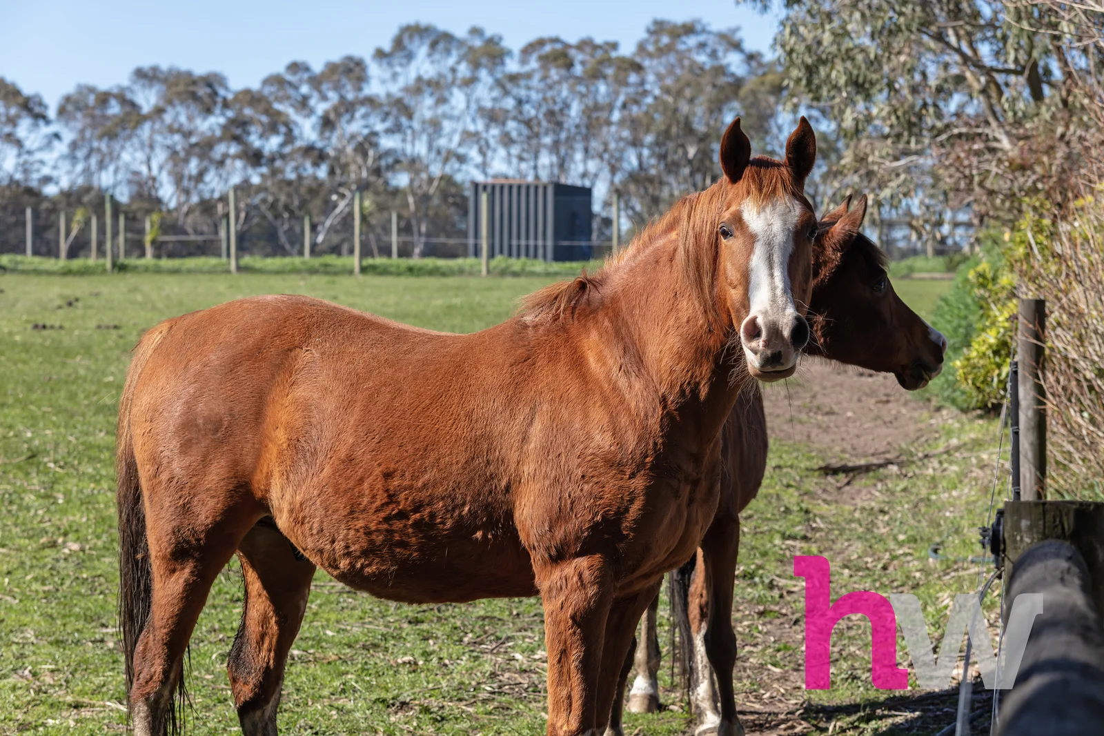 Additional image 16 of 20 Morgans Road, Winchelsea South VIC 3241