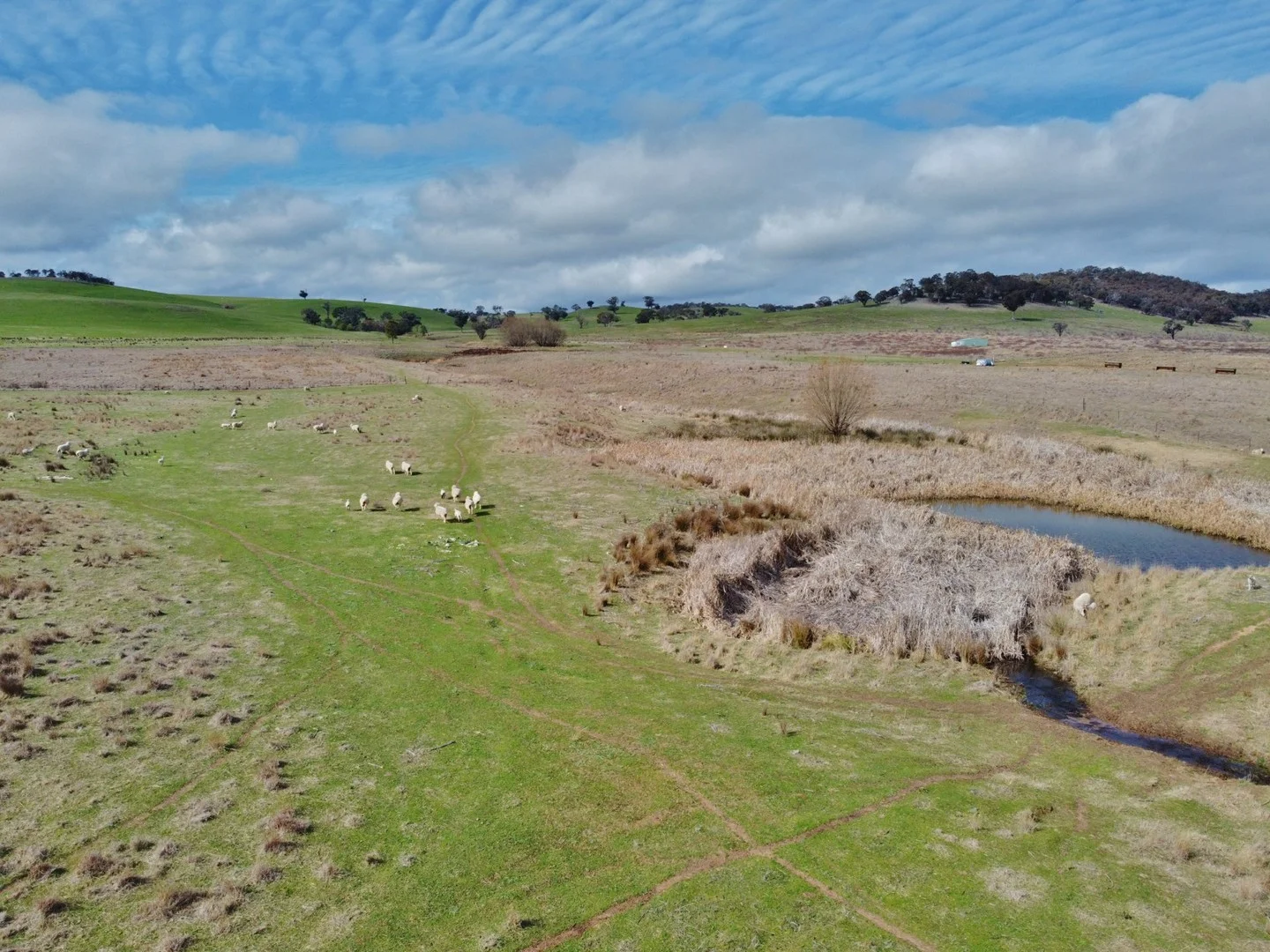 Additional image 2 of 127 Calabash Road, Murringo, via, Young NSW 2594