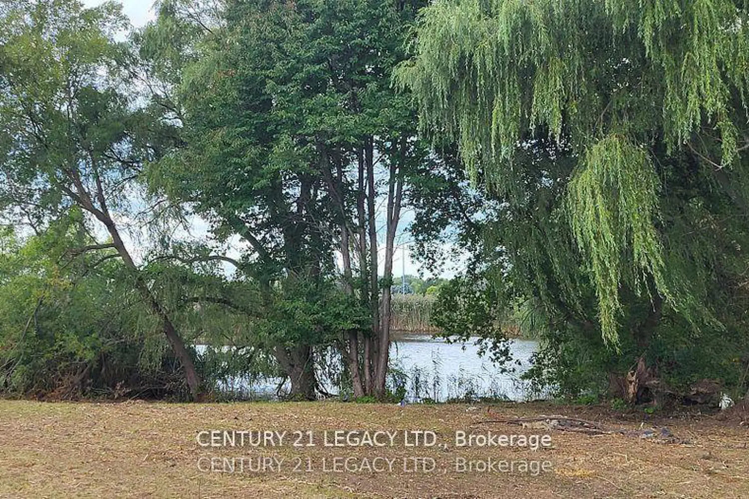 Additional image 5 of 1278 Hwy 5