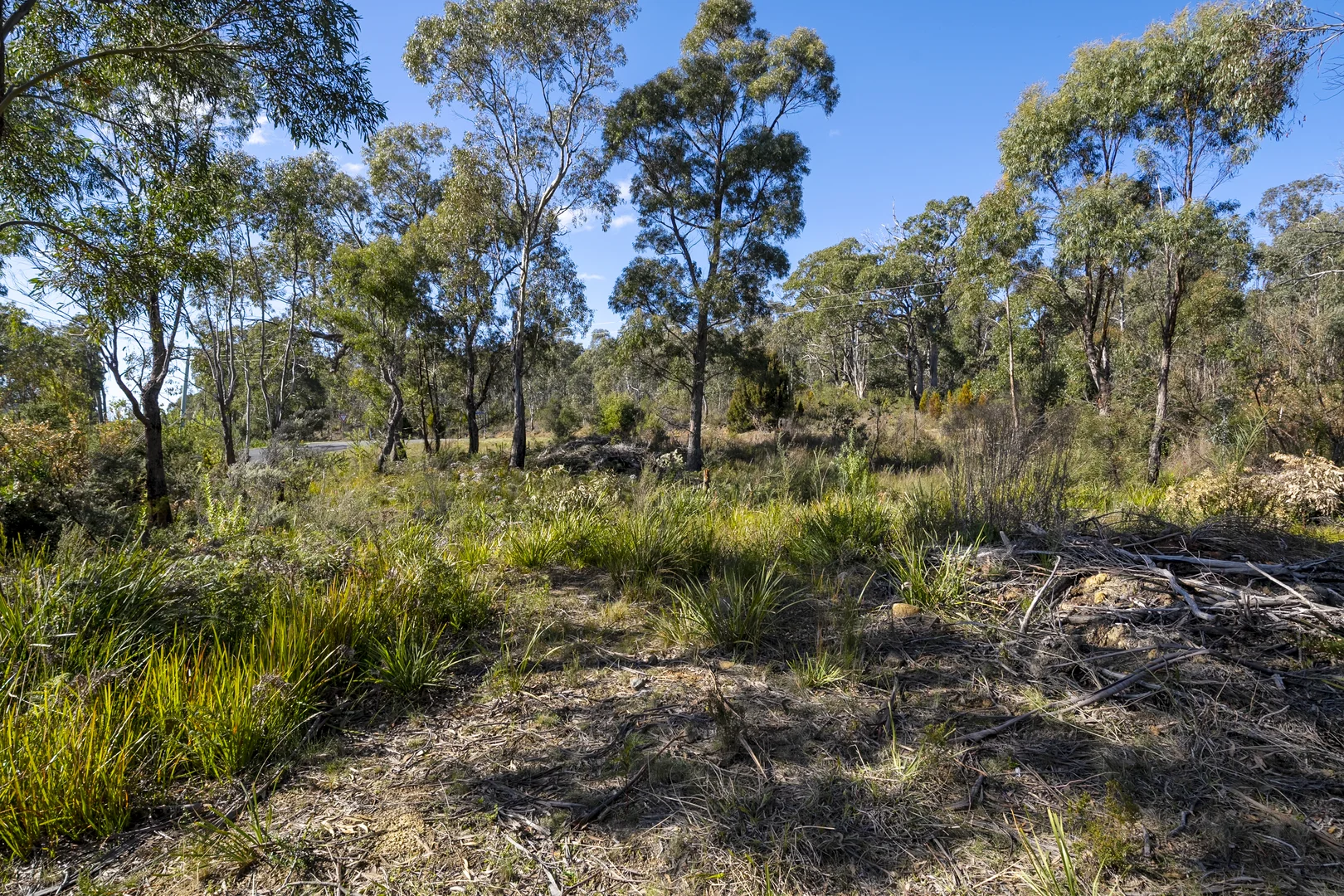 Additional image 16 of 7 Mason Road, Eaglehawk Neck TAS 7179