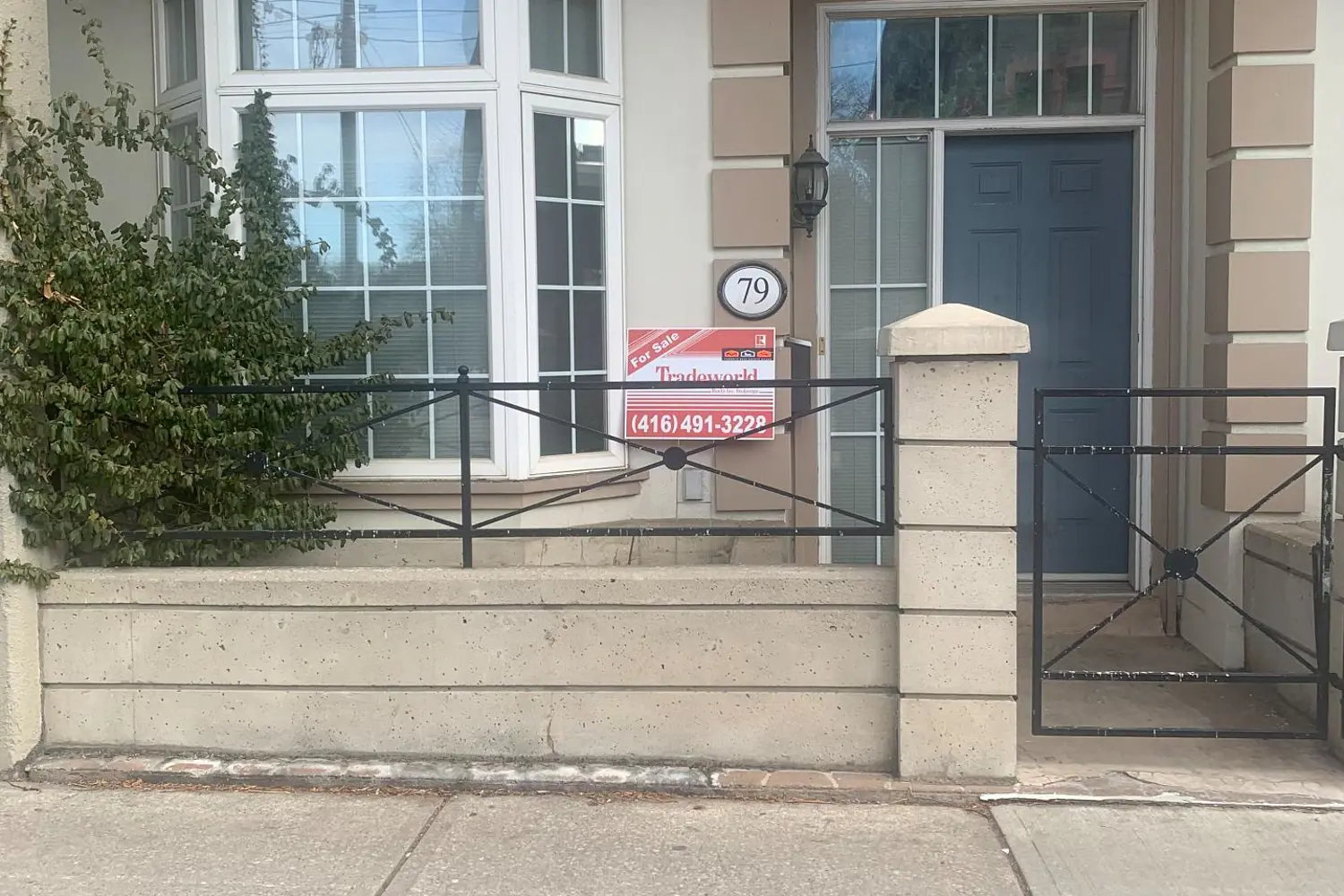 79 Mccaul Street 164