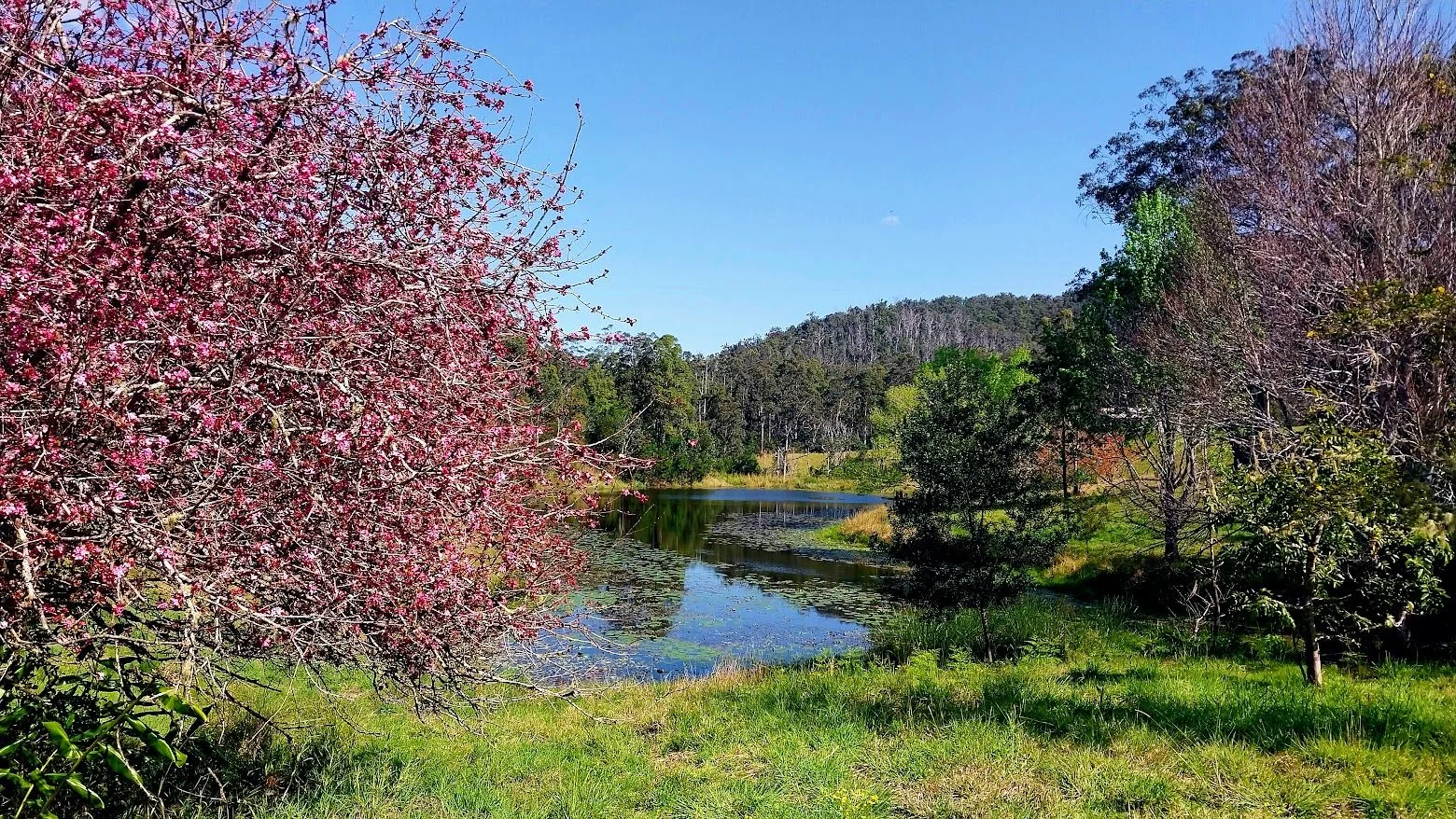 Additional image 5 of Bellangry NSW 2446