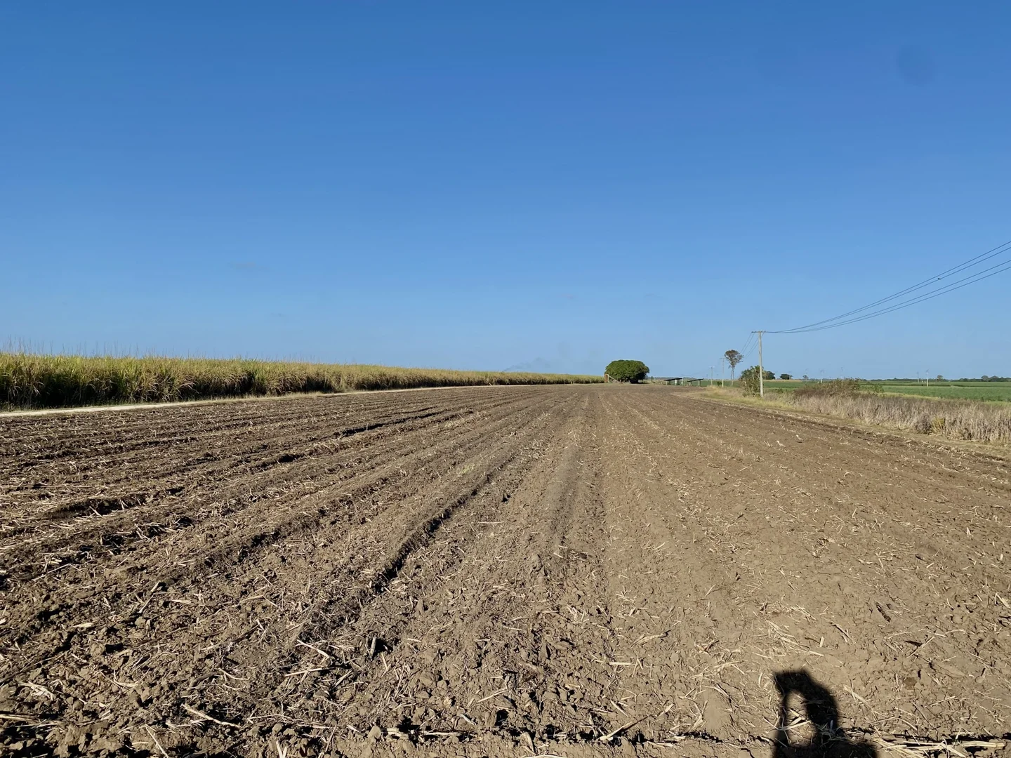 Additional image 6 of 20 Colevale Road, Brandon QLD 4808