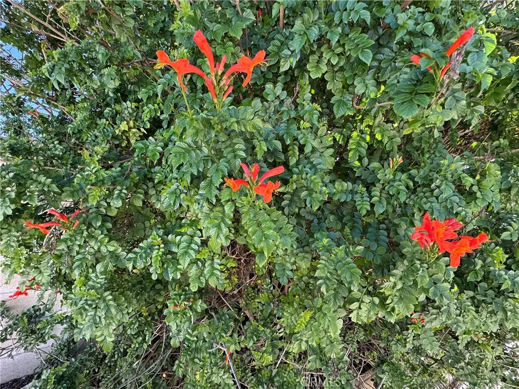 Additional image 88 of 27101 Comwell St, Menifee, CA 92586