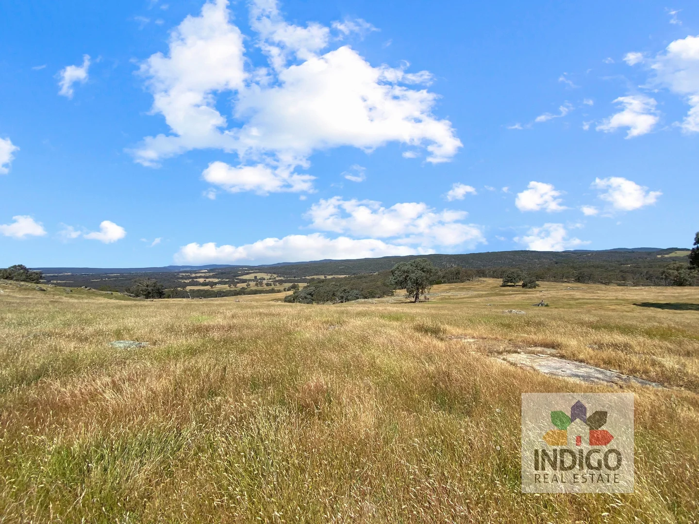 Additional image 11 of 181 Mcfeeters Road, Beechworth VIC 3747