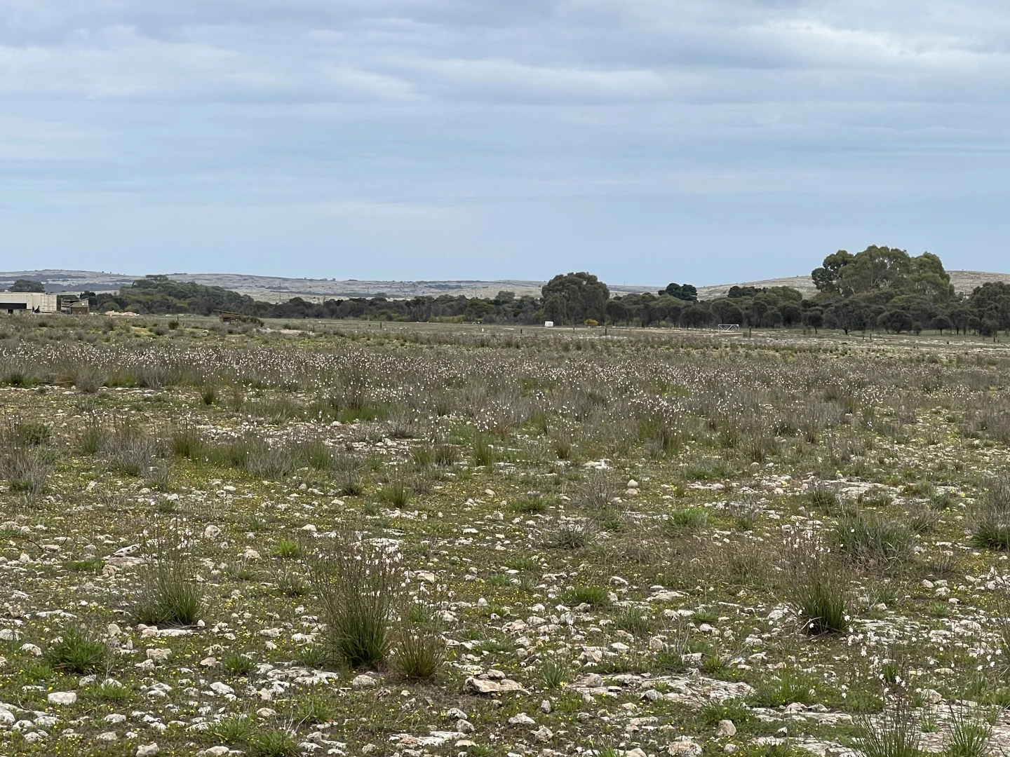 Additional image 19 of 1 Section 217, 217 & 219, Bramfield SA 5670