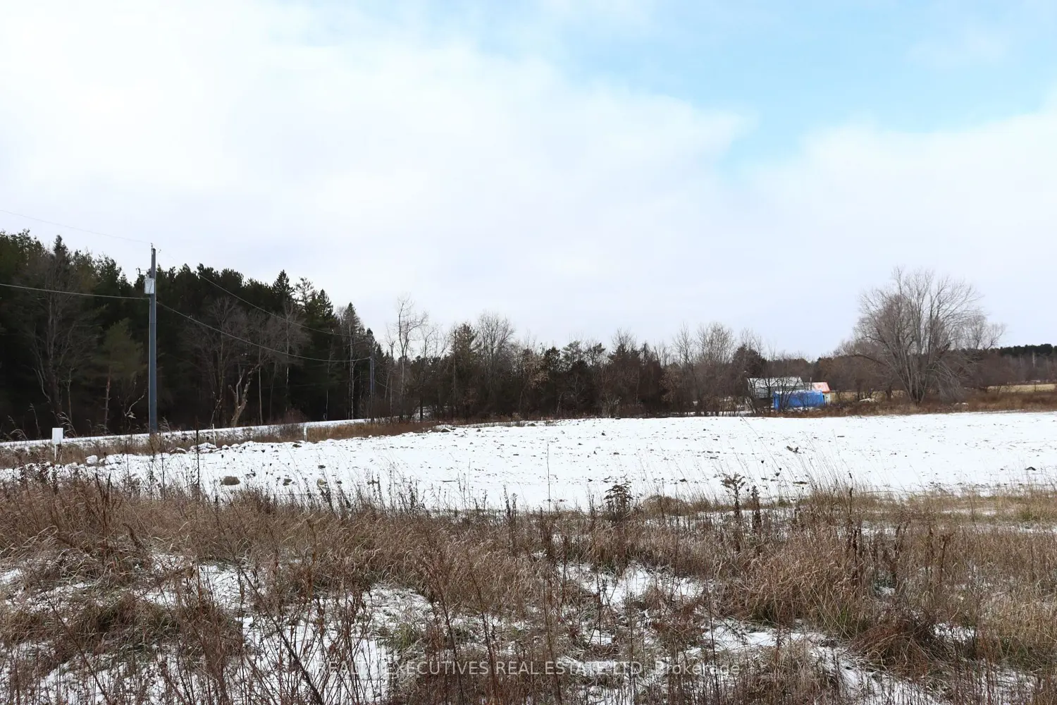 Additional image 13 of 10569 Loughlin Ridge Road