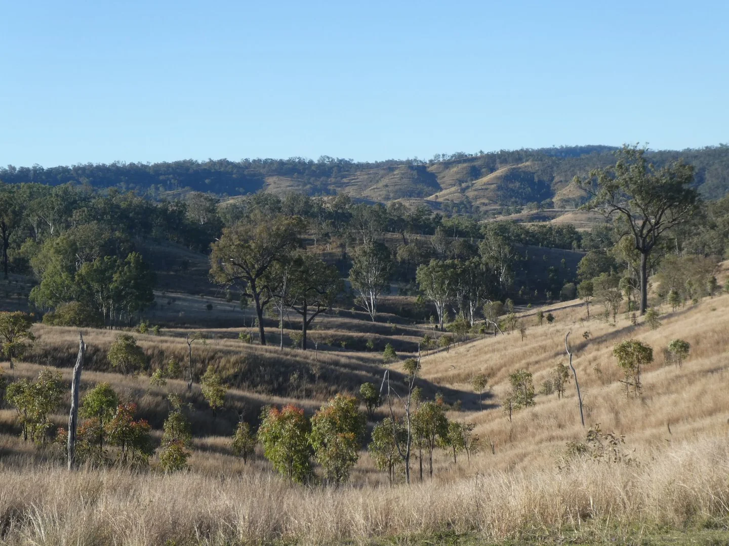 Additional image 36 of 4 Lots/NRN Monto Mount Perry Road, Mungy QLD 4671