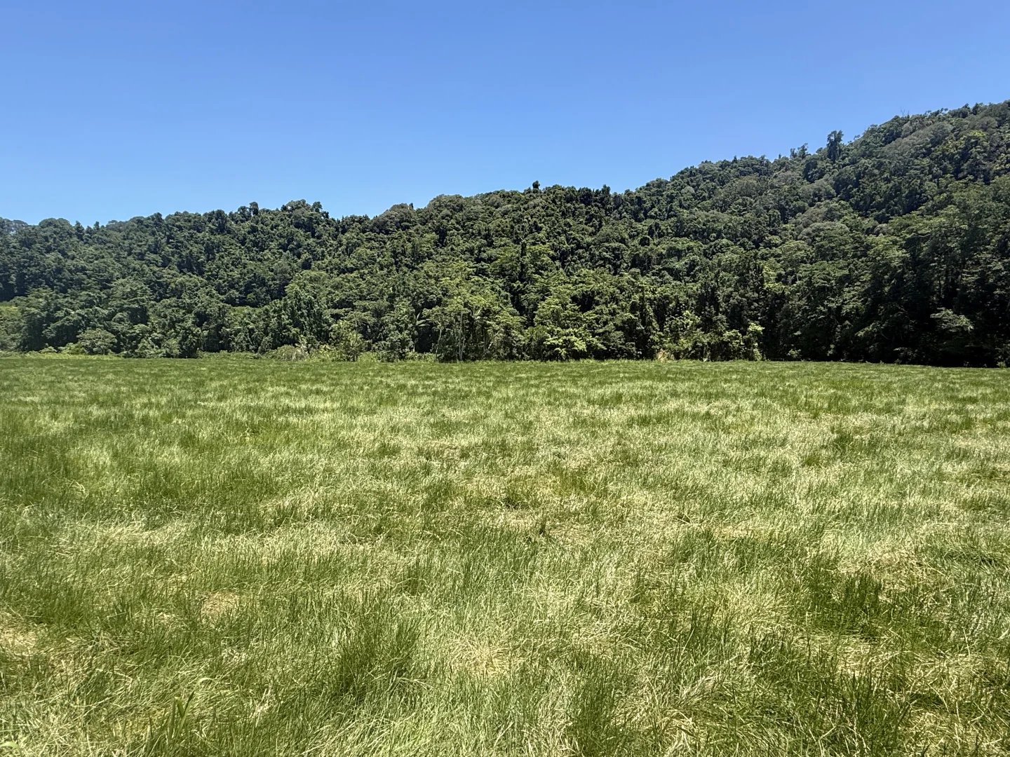 Additional image 11 of Japoonvale QLD 4856