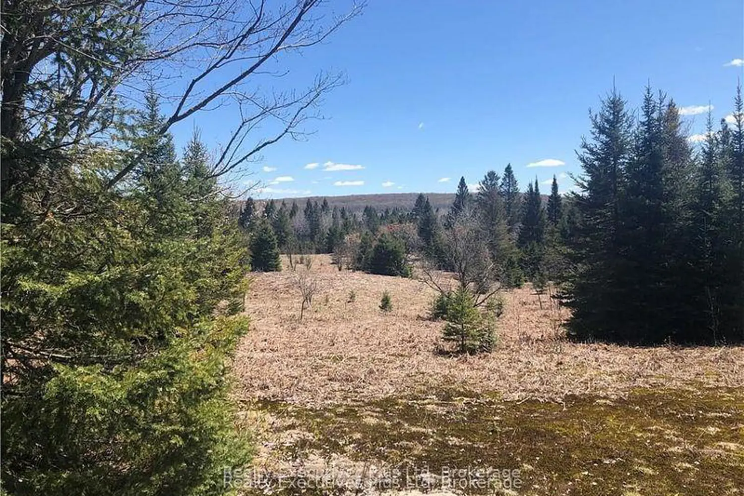 Additional image 18 of 00 Pickerel & Jack Lake Road