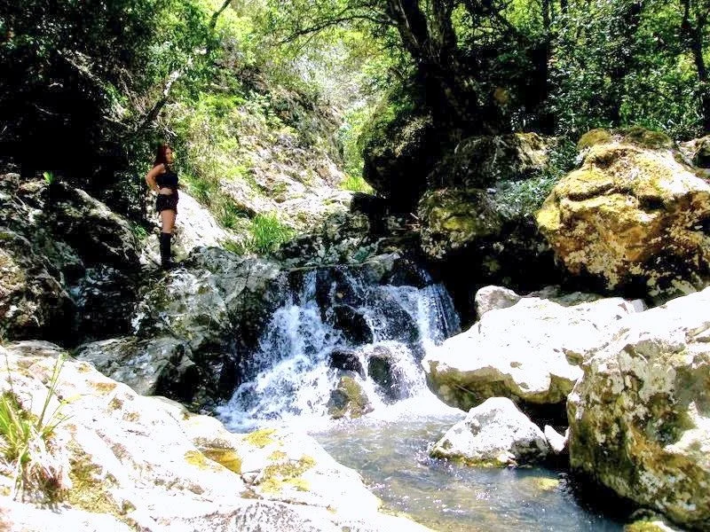 Additional image 25 of Bellangry NSW 2446