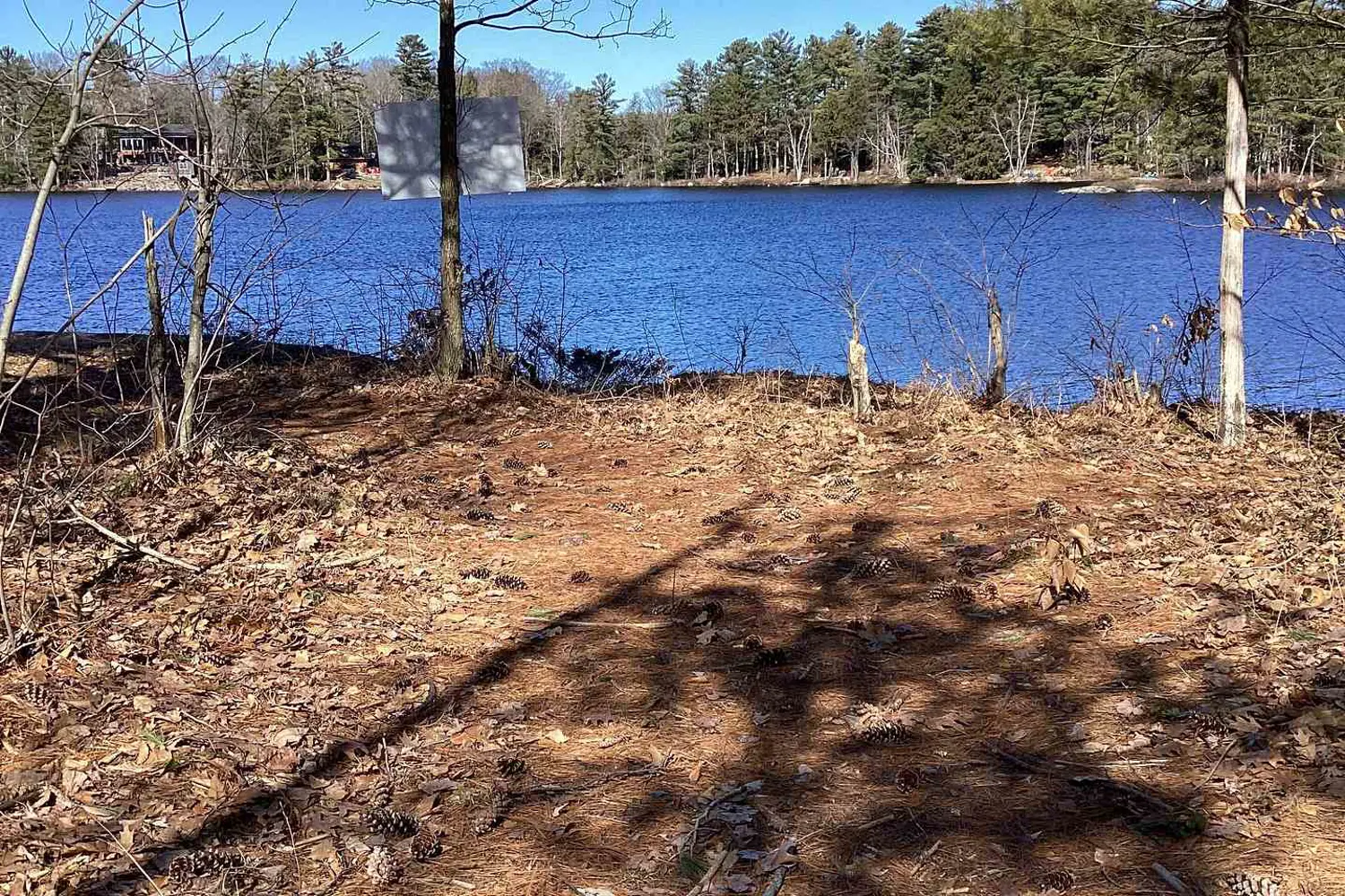 Additional image 10 of 38 Hawkins Point Road