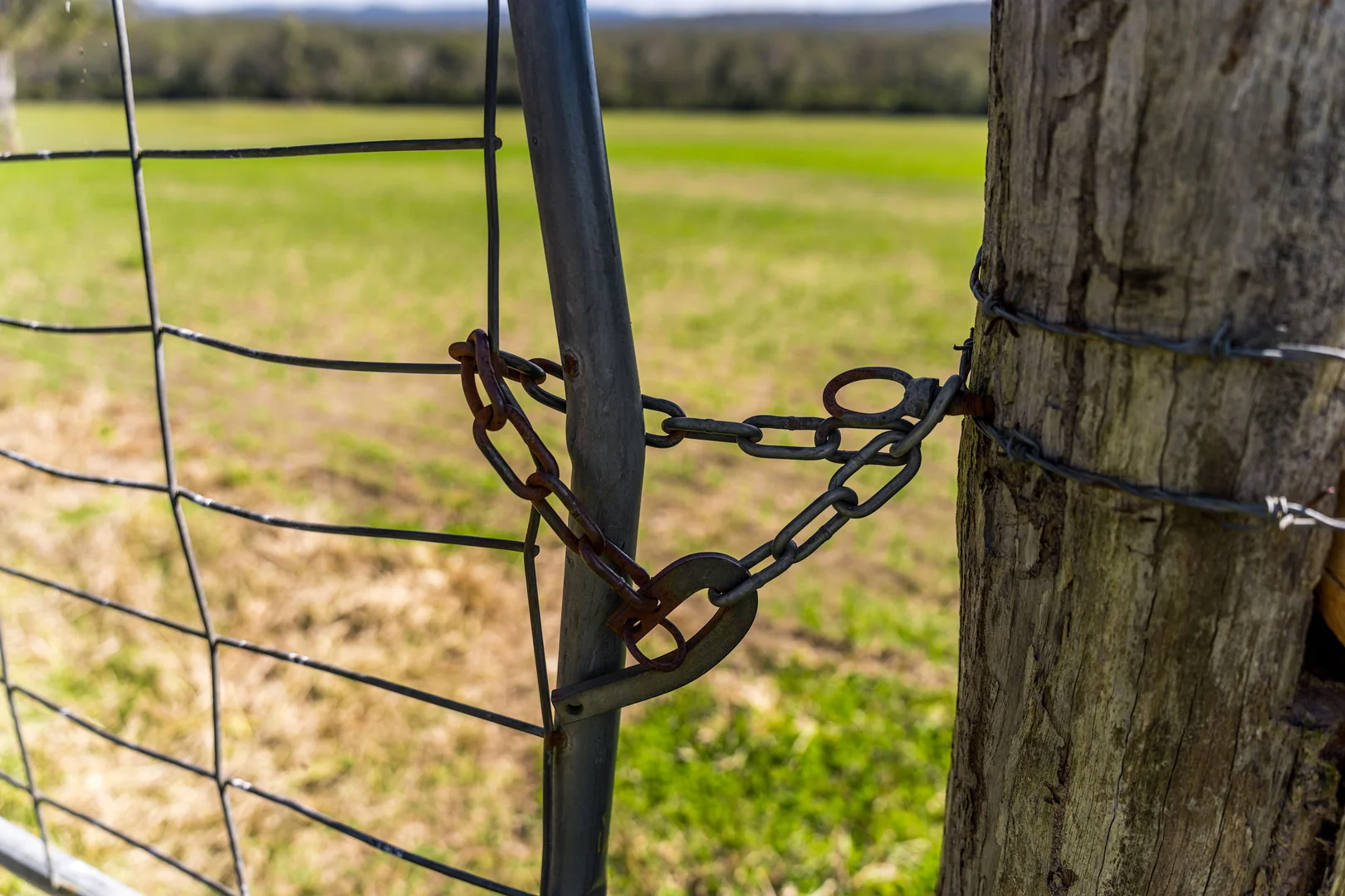 Additional image 13 of 119 Paddys Flat Road, Tabulam NSW 2469